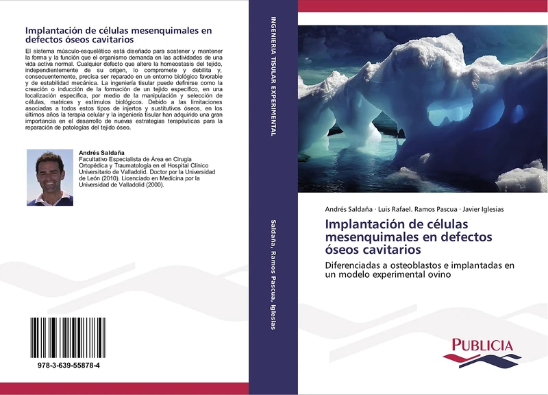 Implantación de células mesenquimales en defectos óseos cavitarios: Diferenciadas a osteoblastos e implantadas en un modelo experimental ovino