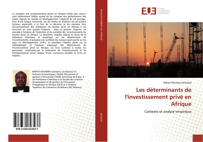 Les déterminants de l'investissement privé en Afrique: Contexte et analyse empirique