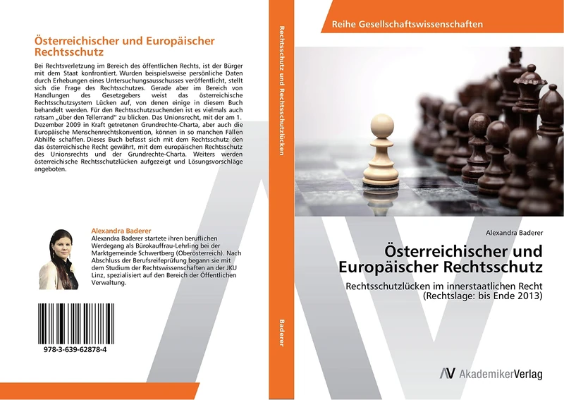 Österreichischer und Europäischer Rechtsschutz: Rechtsschutzlücken im innerstaatlichen Recht (Rechtslage: bis Ende 2013)