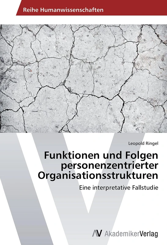 Funktionen und Folgen personenzentrierter Organisationsstrukturen: Eine interpretative Fallstudie - Image 1