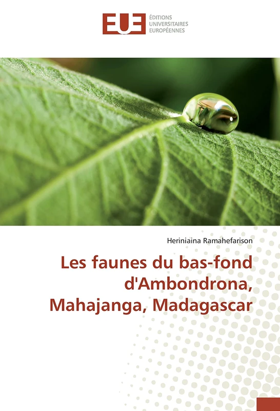 Les faunes du bas-fond d'Ambondrona, Mahajanga, Madagascar - Image 1