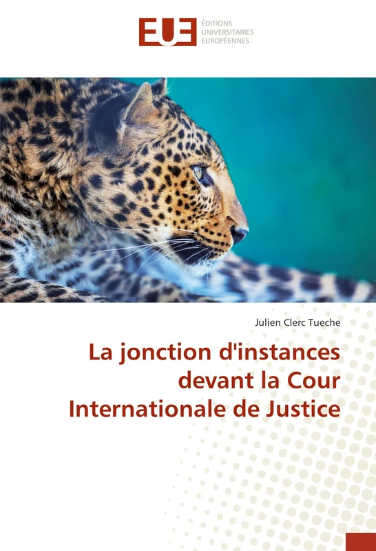 La jonction d'instances devant la Cour Internationale de Justice