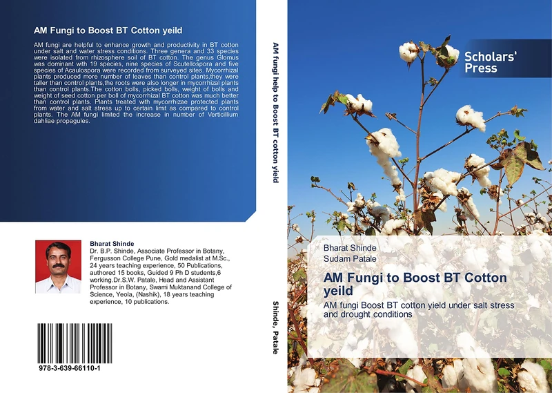 AM Fungi to Boost BT Cotton yeild: AM fungi Boost BT cotton yield under salt stress and drought conditions