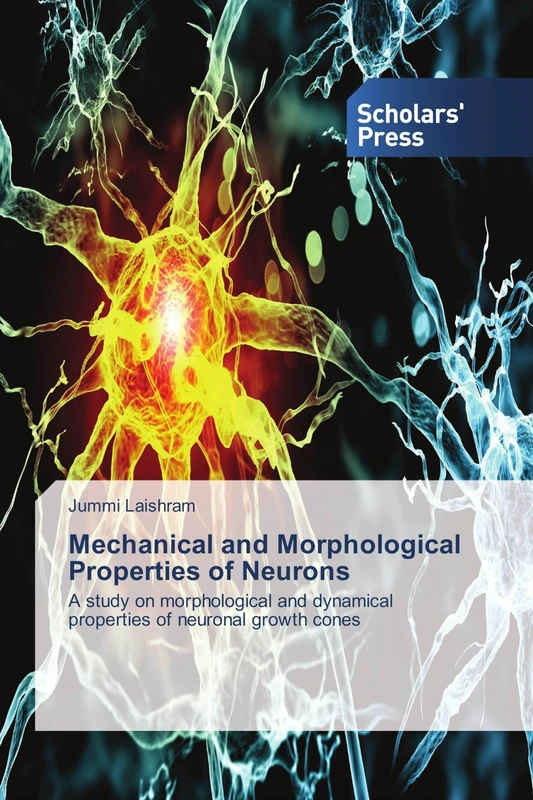Mechanical and Morphological Properties of Neurons: A study on morphological and dynamical properties of neuronal growth cones - Image 1