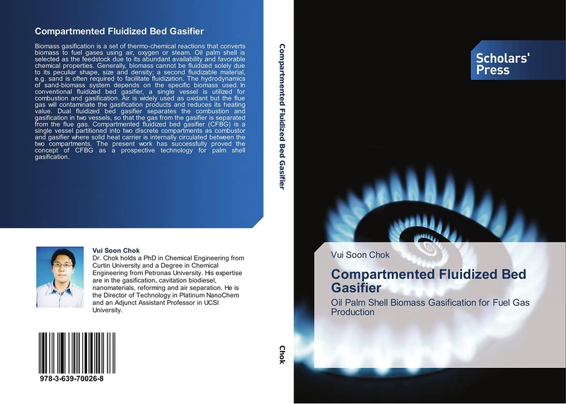 Compartmented Fluidized Bed Gasifier: Oil Palm Shell Biomass Gasification for Fuel Gas Production - Image 1