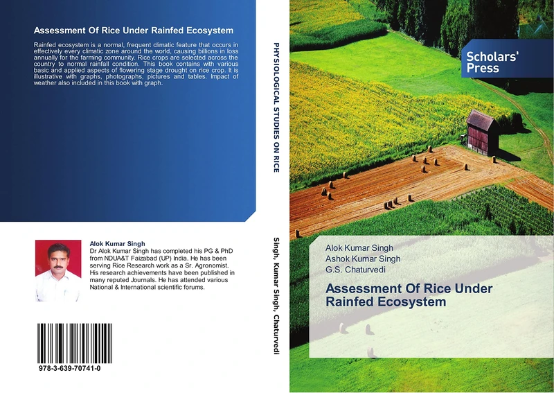Assessment Of Rice Under Rainfed Ecosystem