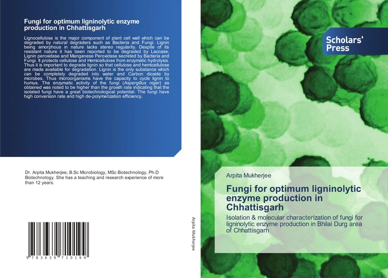 Fungi for optimum ligninolytic enzyme production in Chhattisgarh: Isolation & molecular characterization of fungi for ligninolytic enzyme production in Bhilai Durg area of Chhattisgarh - Image 1