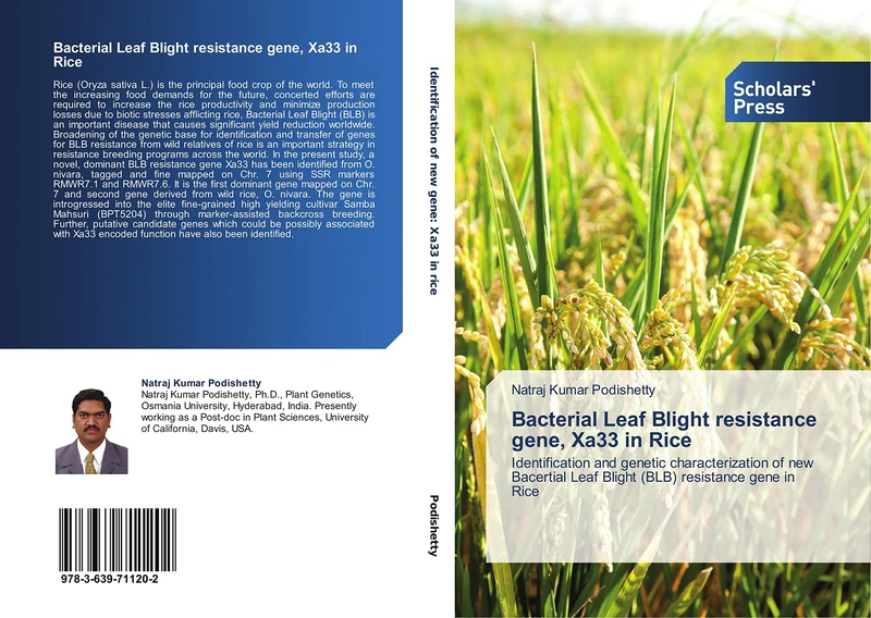 Bacterial Leaf Blight resistance gene, Xa33 in Rice: Identification and genetic characterization of new Bacertial Leaf Blight (BLB) resistance gene in Rice