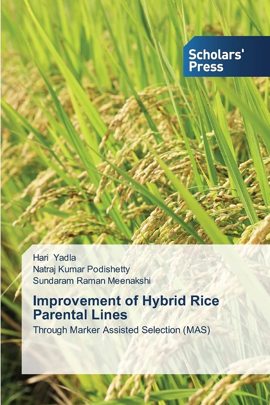 Improvement of Hybrid Rice Parental Lines: Through Marker Assisted Selection (MAS) - Image 1