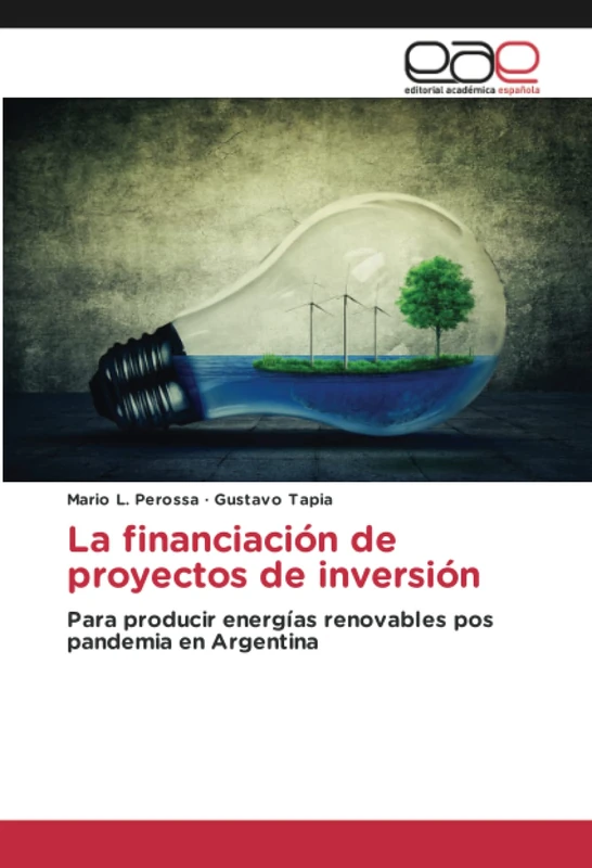 La financiación de proyectos de inversión: Para producir energías renovables pos pandemia en Argentina - Image 1