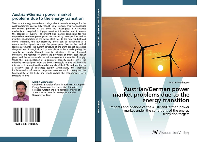 Austrian/German power market problems due to the energy transition: Impacts and options of the Austrian/German power market under the conditions of the energy transition targets