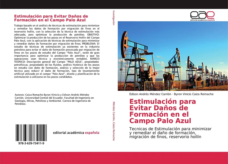 Estimulación para Evitar Daños de Formación en el Campo Palo Azul: Tecnicas de Estimulación para minimizar y remediar el daño de formación, migración de finos, reservorio hollín - Image 1