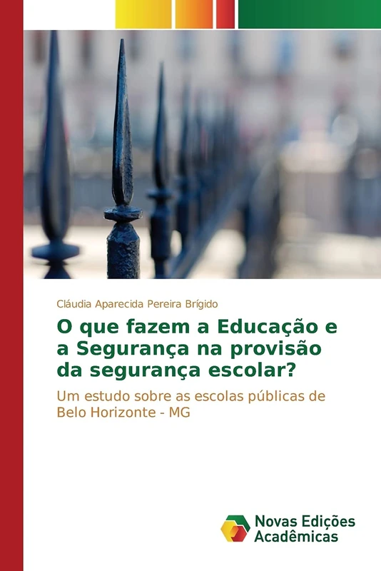 O que fazem a Educação e a Segurança na provisão da segurança escolar?: Um estudo sobre as escolas públicas de Belo Horizonte - MG