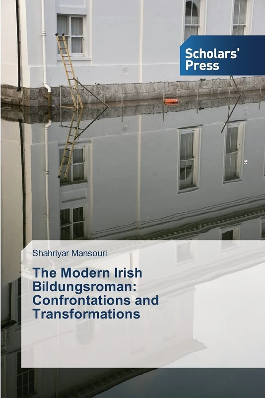 The Modern Irish Bildungsroman: Confrontations and Transformations