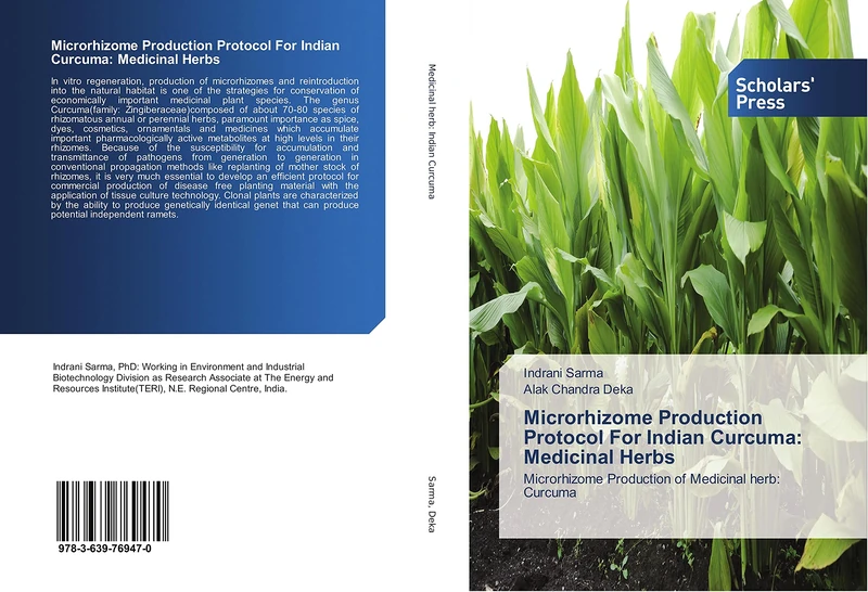 Microrhizome Production Protocol For Indian Curcuma: Medicinal Herbs: Microrhizome Production of Medicinal herb: Curcuma