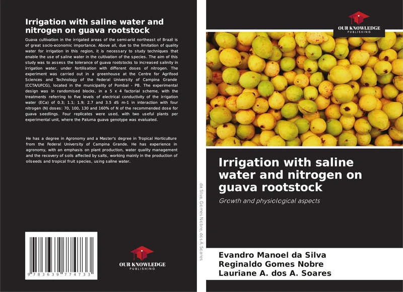 Irrigation with saline water and nitrogen on guava rootstock: Growth and physiological aspects