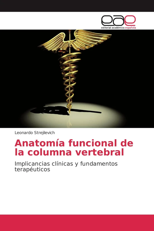 Anatomía funcional de la columna vertebral: Implicancias clínicas y fundamentos terapéuticos