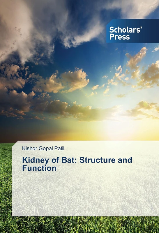 Kidney of Bat: Structure and Function - Image 1