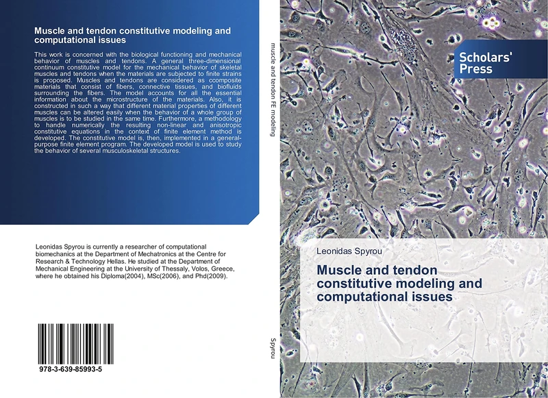Muscle and tendon constitutive modeling and computational issues