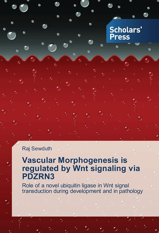 Vascular Morphogenesis is regulated by Wnt signaling via PDZRN3: Role of a novel ubiquitin ligase in Wnt signal transduction during development and in pathology - Image 1