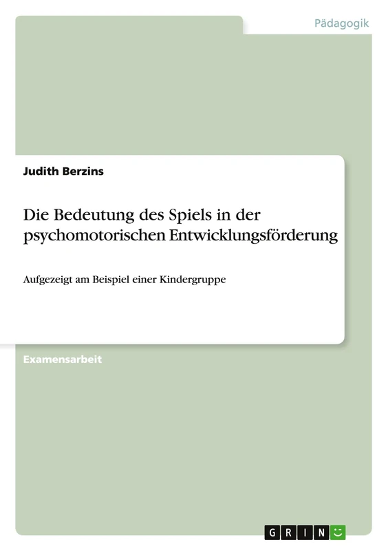 Die Bedeutung des Spiels in der psychomotorischen Entwicklungsförderung: Aufgezeigt am Beispiel einer Kindergruppe