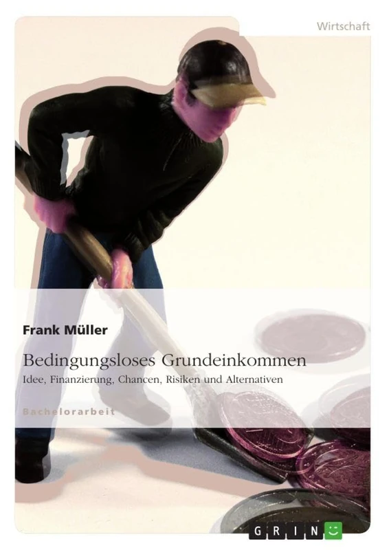 Bedingungsloses Grundeinkommen: Idee, Finanzierung, Chancen, Risiken und Alternativen