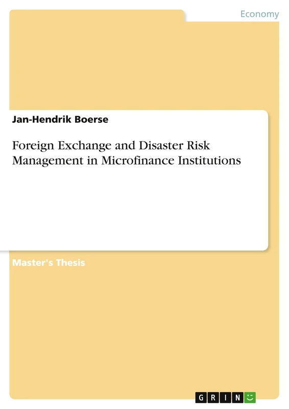 Foreign Exchange and Disaster Risk Management in Microfinance Institutions