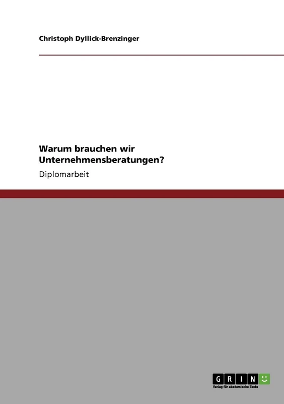 Warum brauchen wir Unternehmensberatungen? - Image 1