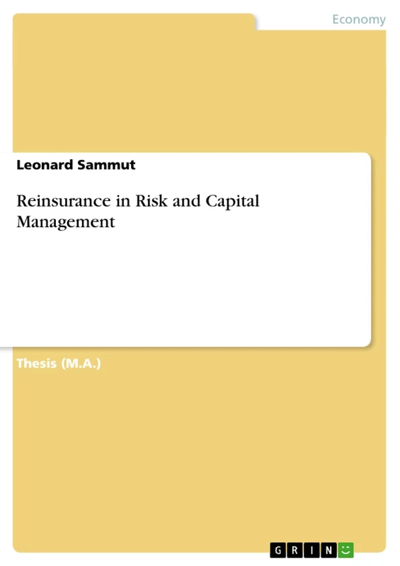 Reinsurance in Risk and Capital Management