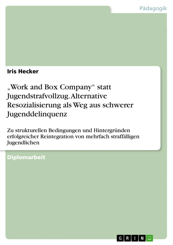 "Work and Box Company" statt Jugendstrafvollzug. Alternative Resozialisierung als Weg aus schwerer Jugenddelinquenz: Zu strukturellen Bedingungen und ... von mehrfach straffälligen Jugendlichen
