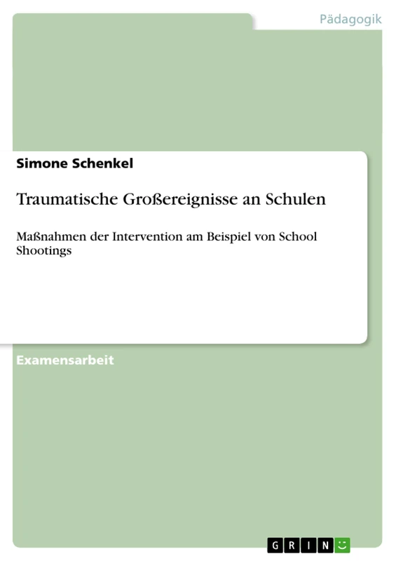 Traumatische Großereignisse an Schulen: Maßnahmen der Intervention am Beispiel von School Shootings