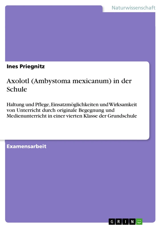 Axolotl (Ambystoma mexicanum) in der Schule: Haltung und Pflege, Einsatzmöglichkeiten und Wirksamkeit von Unterricht durch originale Begegnung und ... in einer vierten Klasse der Grundschule