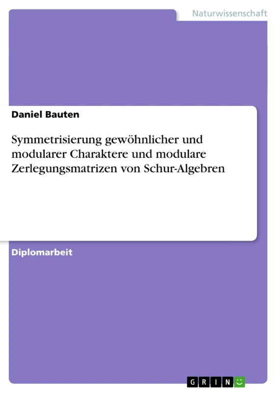 Symmetrisierung gewöhnlicher und modularer Charaktere und modulare Zerlegungsmatrizen von Schur-Algebren - Image 1