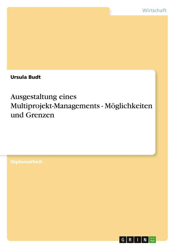 Leitfaden für die Umsetzung von Multiprojekt-Management. Möglichkeiten und Grenzen.