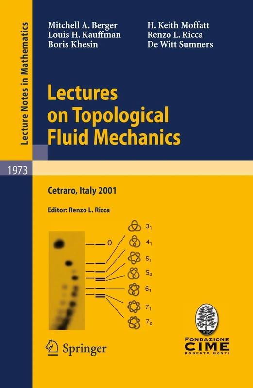 Lectures on Topological Fluid Mechanics: Lectures given at the C.I.M.E. Summer School held in Cetraro, Italy, July 2 - 10, 2001: 1973 (Lecture Notes in Mathematics, 1973)
