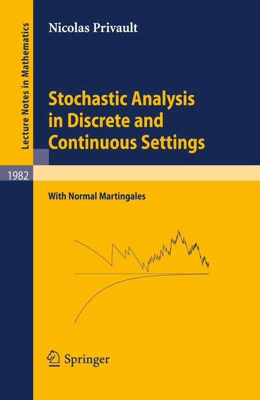 Stochastic Analysis in Discrete and Continuous Settings: With Normal Martingales: 1982 (Lecture Notes in Mathematics, 1982)