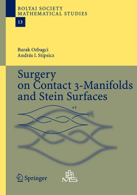 Surgery on Contact 3-Manifolds and Stein Surfaces: 13 (Bolyai Society Mathematical Studies, 13)