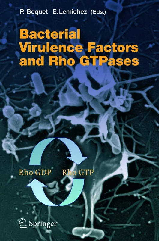 Springer - Bacterial Virulence Factors and Rho GTPases, 291