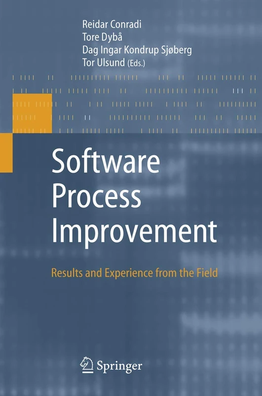 Springer - Software Process Improvement: Results and Experience - Image 1
