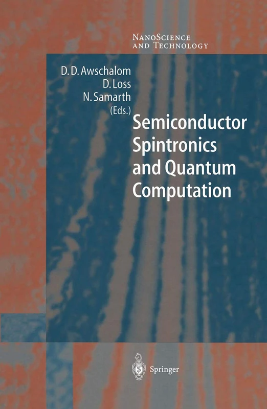 Semiconductor Spintronics and Quantum Computation (NanoScience and Technology)
