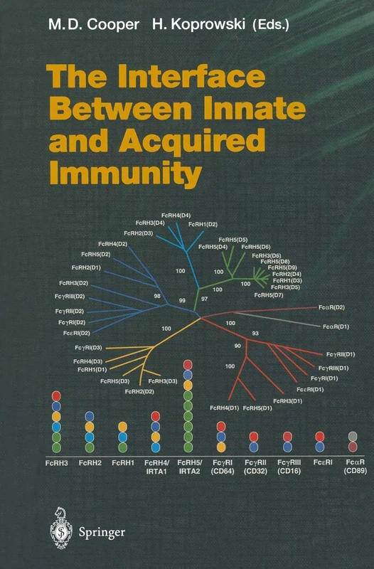 Springer - The Interface Between Innate and Acquired Immunity