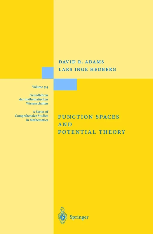 Function Spaces and Potential Theory: 314 (Grundlehren der mathematischen Wissenschaften, 314)