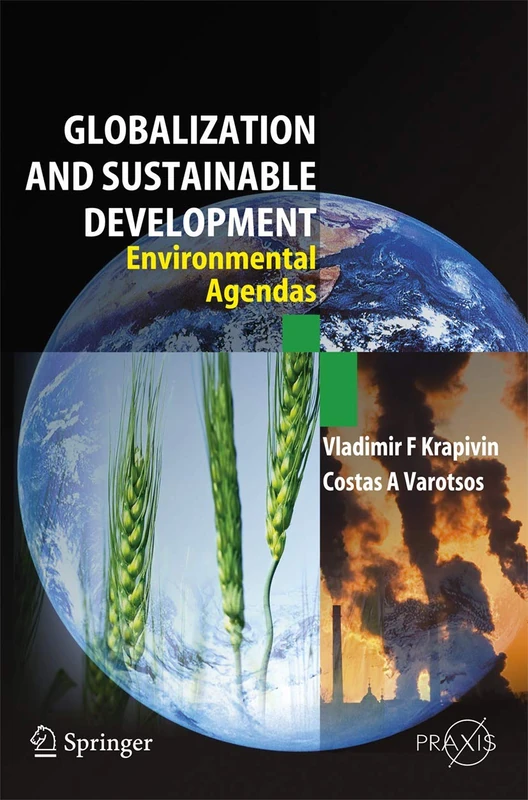 Springer Globalisation and Sustainable Development Book