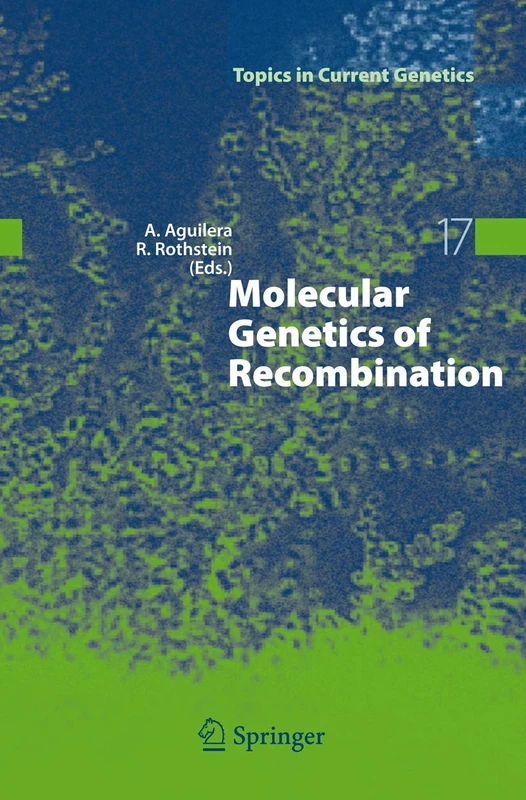 Molecular Genetics of Recombination: 17 (Topics in Current Genetics, 17)