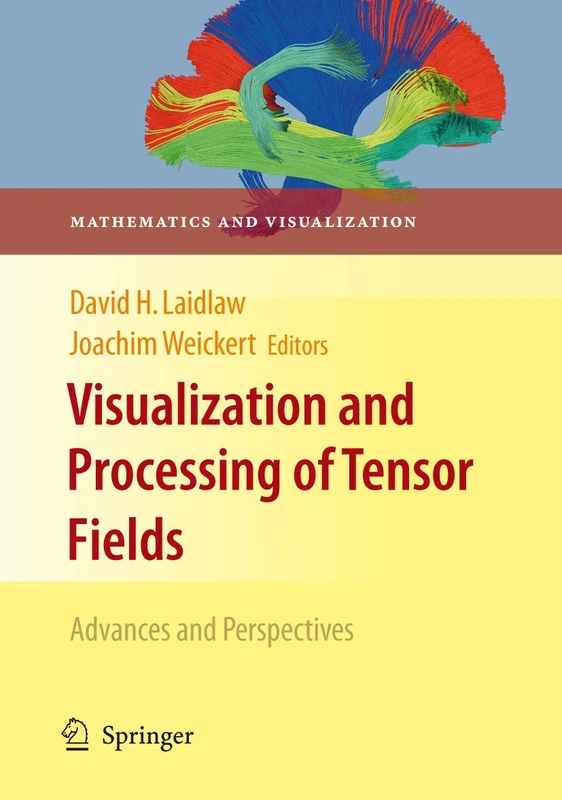 Visualization and Processing of Tensor Fields: Advances and Perspectives (Mathematics and Visualization) - Image 1