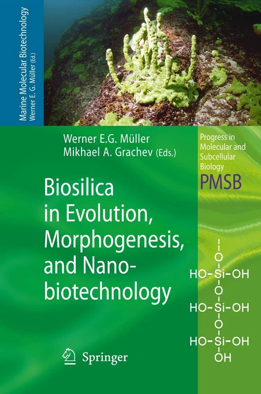 Biosilica in Evolution, Morphogenesis, and Nanobiotechnology: Case Study Lake Baikal: 47 (Progress in Molecular and Subcellular Biology, 47)