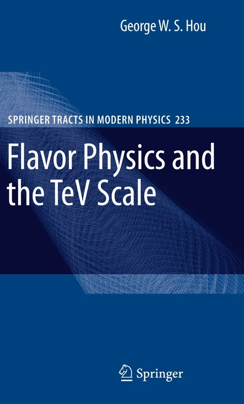Flavor Physics and the TeV Scale: 233 (Springer Tracts in Modern Physics, 233)