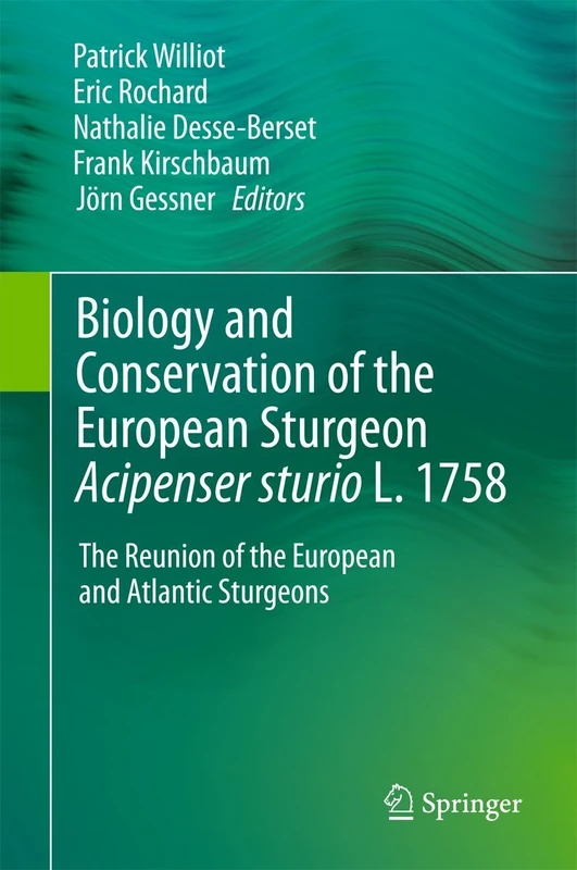Biology and Conservation of the European Sturgeon Acipenser sturio L. 1758: The Reunion of the European and Atlantic Sturgeons