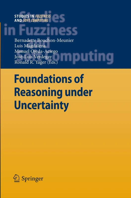 Foundations of Reasoning under Uncertainty: 249 (Studies in Fuzziness and Soft Computing, 249)