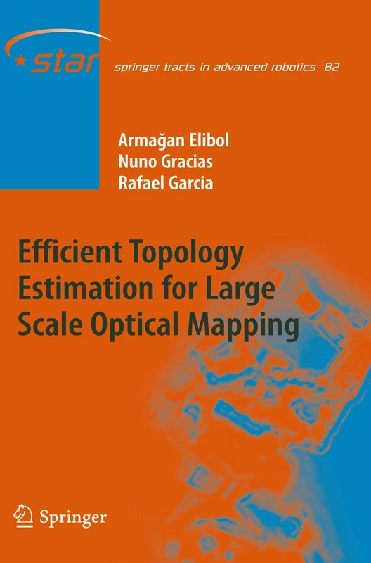 Efficient Topology Estimation for Large Scale Optical Mapping: 82 (Springer Tracts in Advanced Robotics, 82)